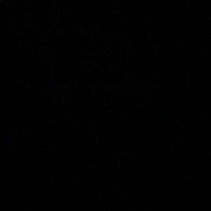 Meet your Posher, Georgia